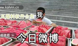 热门吃瓜爆料软件是什么,热门吃瓜爆料软件，揭秘娱乐圈幕后真相！