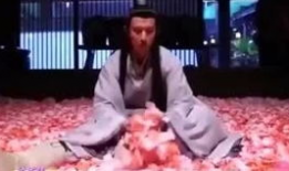 吃瓜爆料成毅袁冰妍,娱乐圈背后的秘密大揭秘